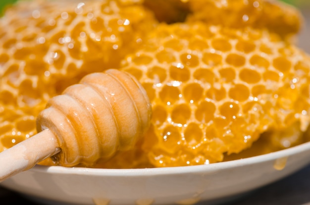 Yellow honeycomb slice. honey cell slice. bowl with fresh honeycombs and honey Premium Photo