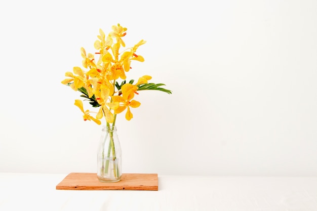 Yellow Orchid Flower In Vase Premium Photo