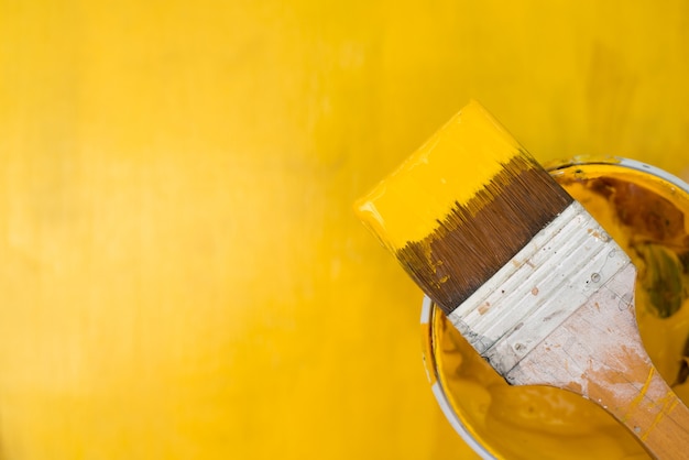 yellow paintbrush colorado