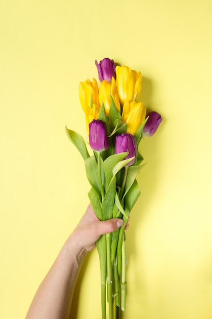 Premium Photo Yellow And Purple Flowers Tulips In A Bouquet On A Yellow Background And The Hands Of A Woman