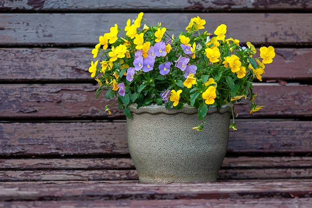 Download Yellowimages Mockups Round Flower Box Psd Mockup Object Mockups Yellowimages Mockups