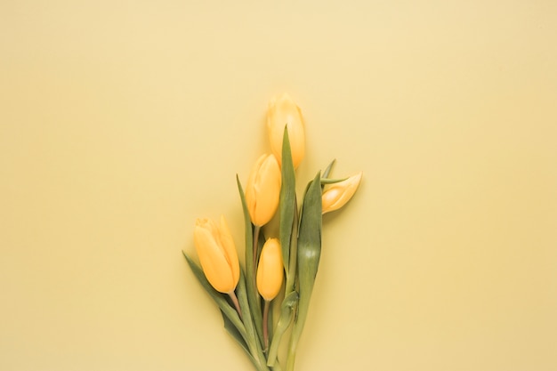 テーブルの上の黄色いチューリップの花束 無料の写真