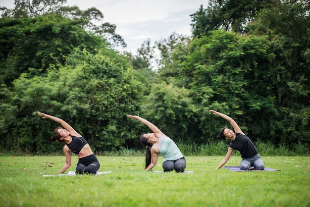 Yoga action exercise healthy in the park Free Photo Yoga action exercise healthy in the park Free Photo