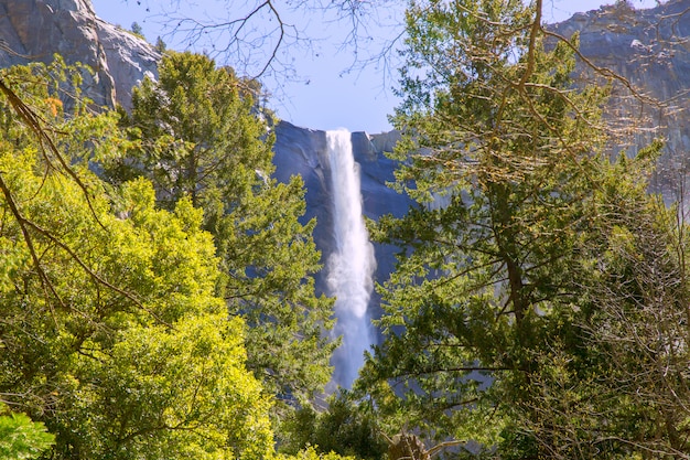 Premium Photo | Yosemite bridalveil fall waterfall california