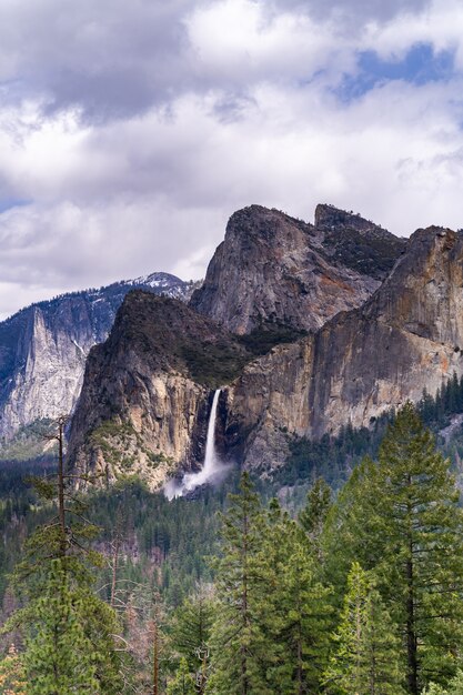 Yosemite national park Premium Photo
