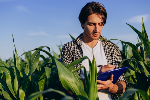 Premium Photo | Young agronomist in a field taking control of the yield ...