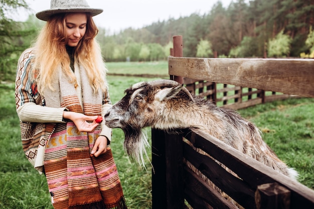 hat on a goat