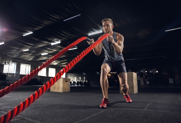 Young healthy man, athlete doing exercise with the ropes in gym. single male model practicing hard and training his upper body. concept of healthy lifestyle, sport, fitness, bodybuilding, wellbeing. Free Photo