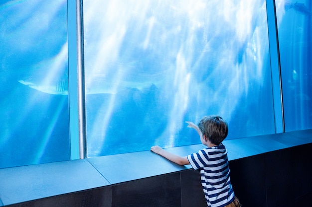 Premium Photo | Young man pointing a shark with his finger