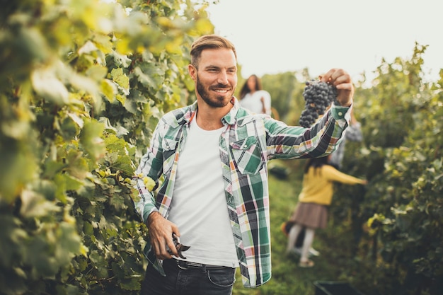 Premium Photo | Young people working in the vineyard