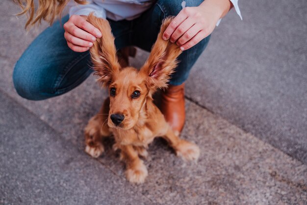 かわいいコッカー犬の面白い大きな耳を保持している通りで若い女性 ペットと一緒にアウトドアライフスタイル プレミアム写真