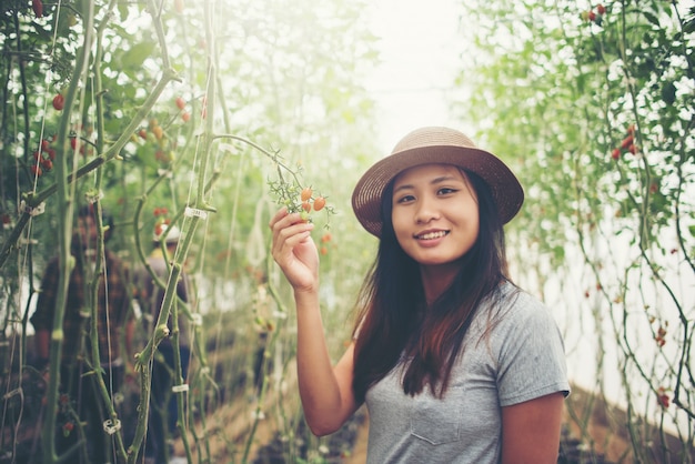 Young woman in a greenhouse with organic tomatoes, harvesting. Free Photo