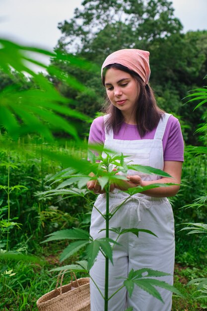 Девушки на поле конопли семена сорта марихуаны