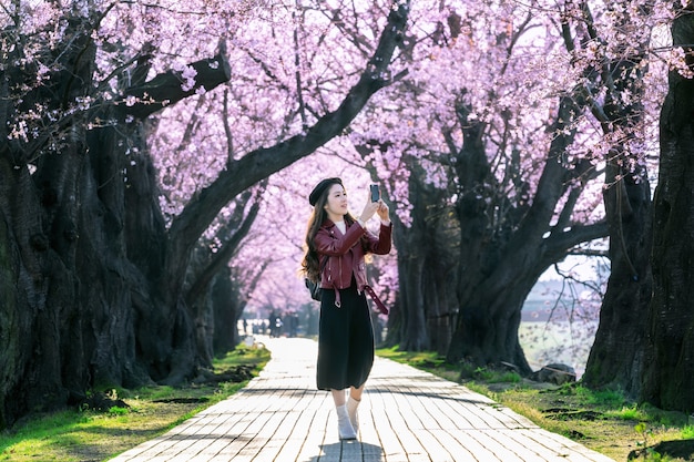 春の日に桜の庭を歩いている若い女性 日本の京都の桜の木を漕ぐ 無料の写真