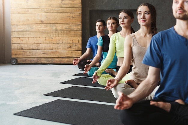 Premium Photo | Young women and men in yoga class, meditation exercises ...