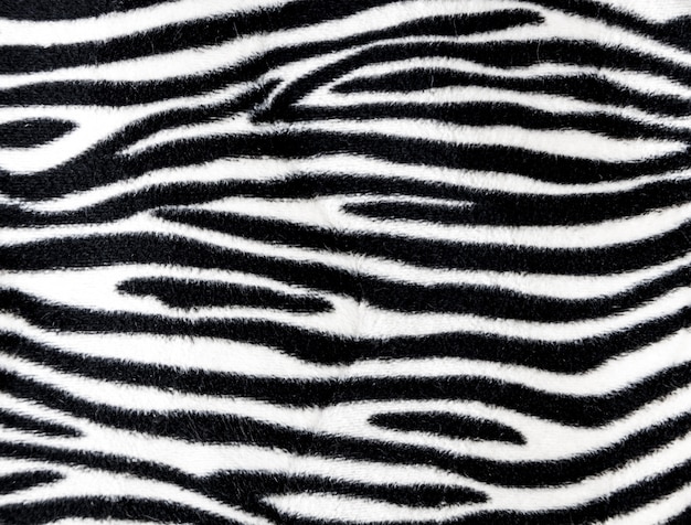 Premium Photo | Zebra fur background texture