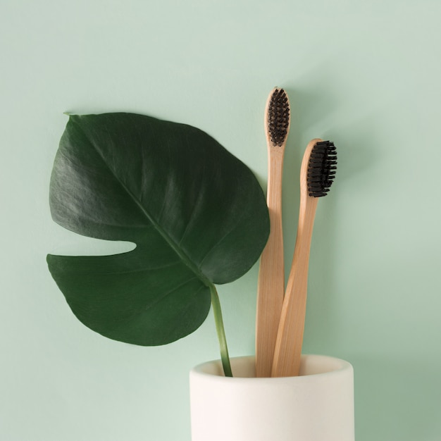 eco bamboo toothbrush