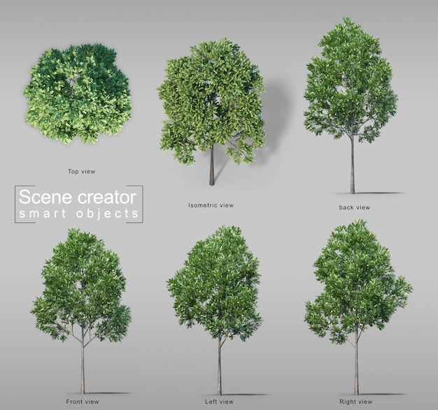 Tree Illustration Psd 300 High Quality Free Psd Templates For Download