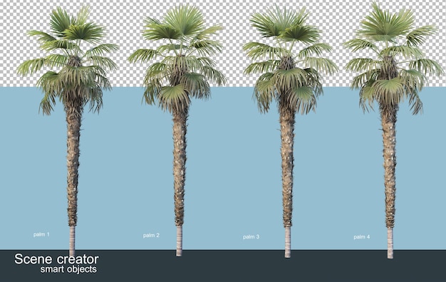 さまざまな種類のヤシの木の3dレンダリング プレミアムpsdファイル