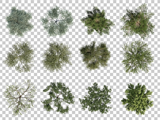 3d rendering of trees top view | Premium PSD File