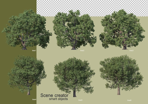 Premium PSD | 3d rendering of various trees isolated