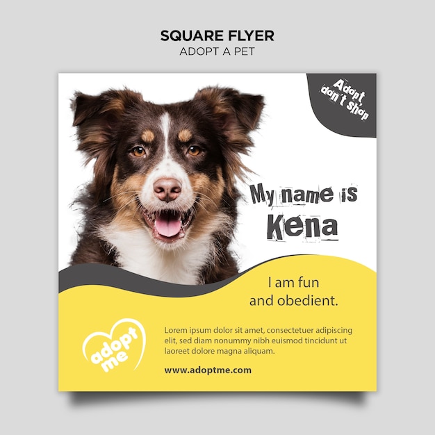 Adopt A Pet Square Flyer Free Psd File