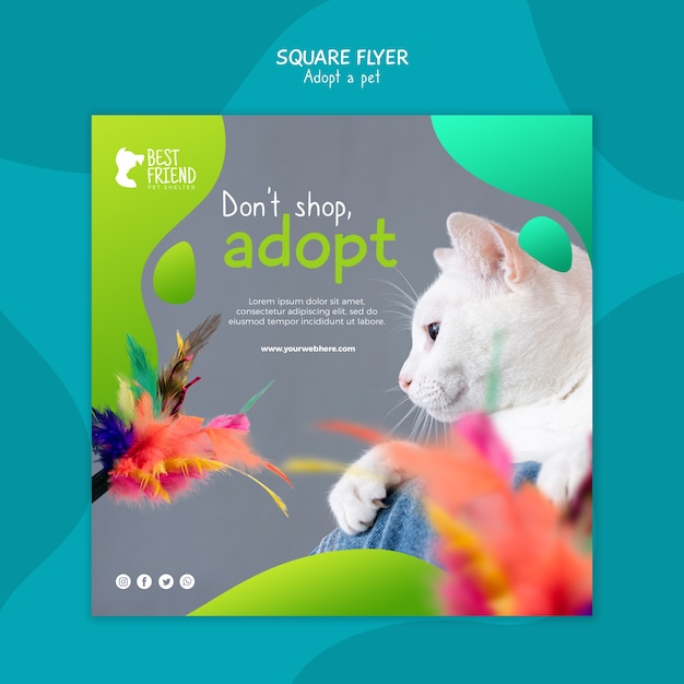 free-psd-adopt-your-pet-cat-square-flyer