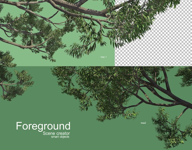 Premium PSD | Beautiful tree branches foreground rendering