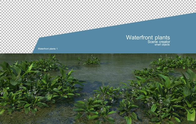 Premium PSD | Beautiful variety of waterfront plants