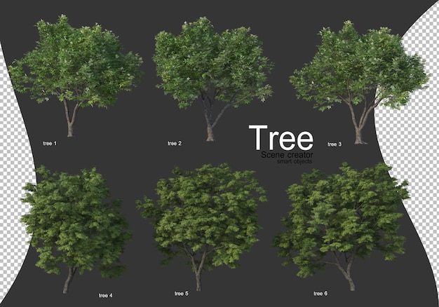 Premium PSD | Beautiful various types of trees isolated