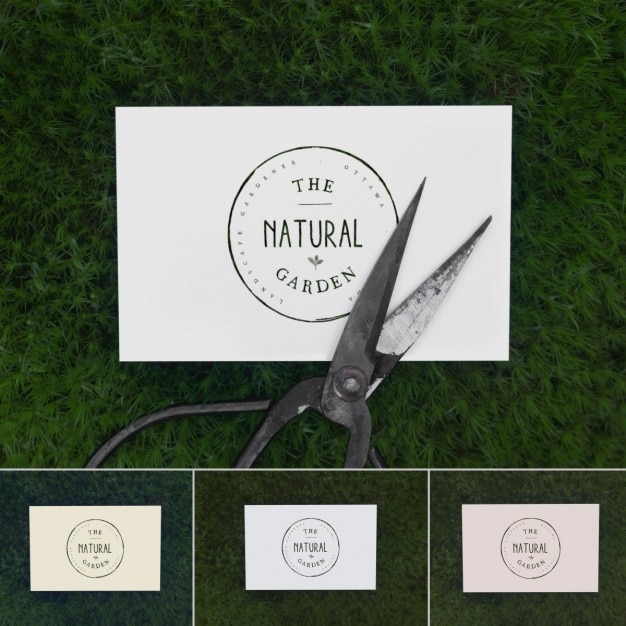 Business card above grass mock up PSD Template