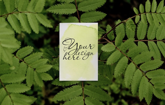 Download Business card mockup on leaves tree background PSD file | Premium Download