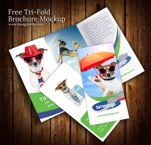 Download Colorful brochure design mockup psd template PSD file ... PSD Mockup Templates