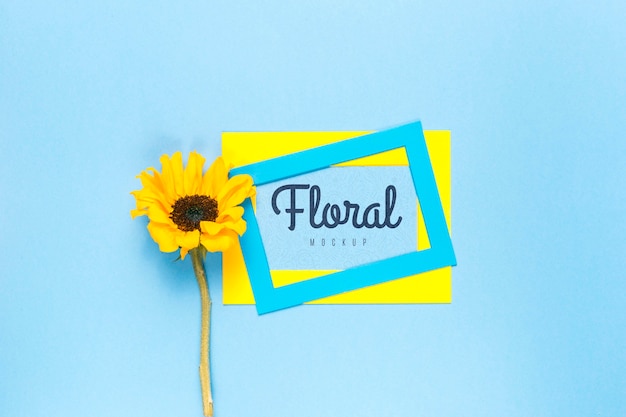 Download Free PSD | Colorful frames with yellow daisy