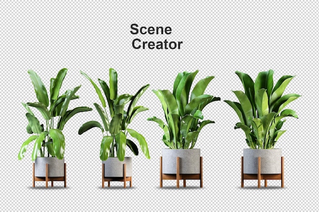 Premium Psd Different Types Of Banana Tree 3d Rendering