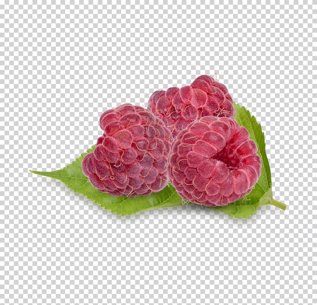 Premium Psd Fresh Raspberry With Leaves Isolated On White Background