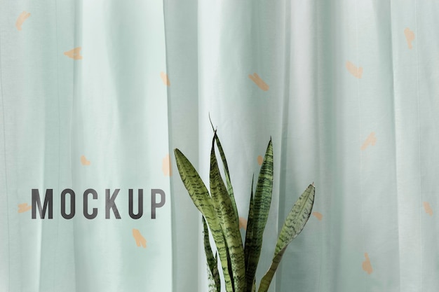 Download Free Psd Fresh Snake Plant In Front Of A White Curtain Mockup