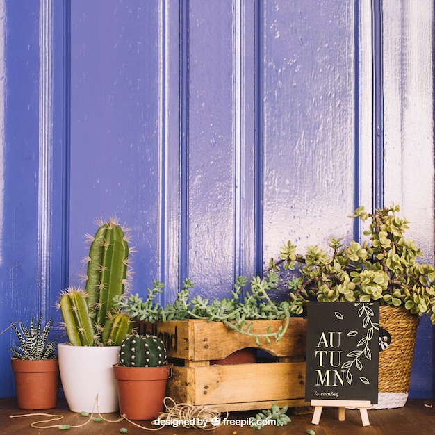 Download Free PSD | Gardening mockup with cactus and board