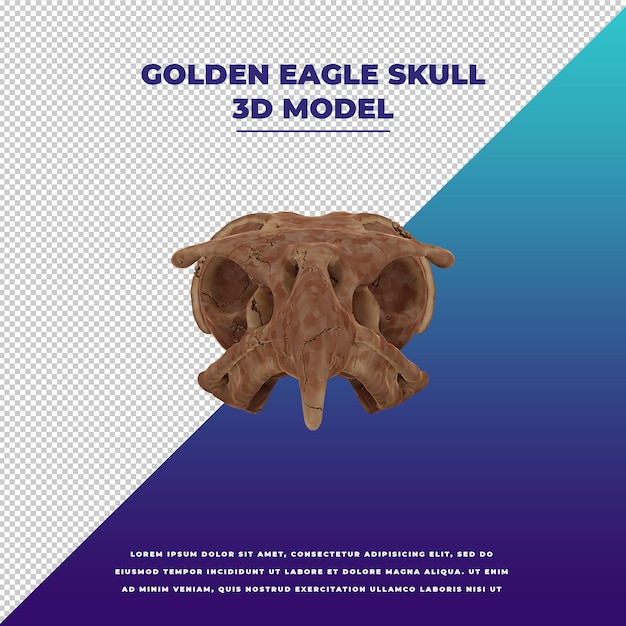 Premium PSD | Golden eagle skull