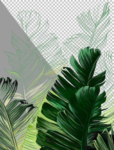 Premium PSD | Graphic tropical leaves and plants illustration