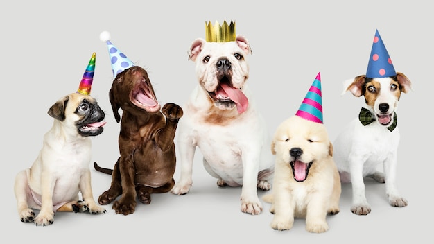 Free PSD | Group of puppies celebrating new year together