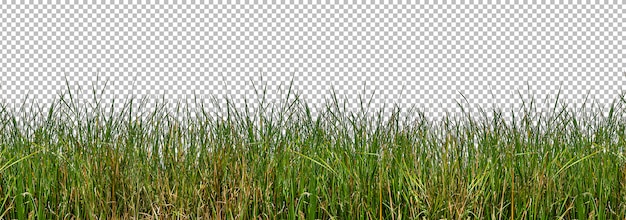 Premium Psd Isolated Wild Grasses