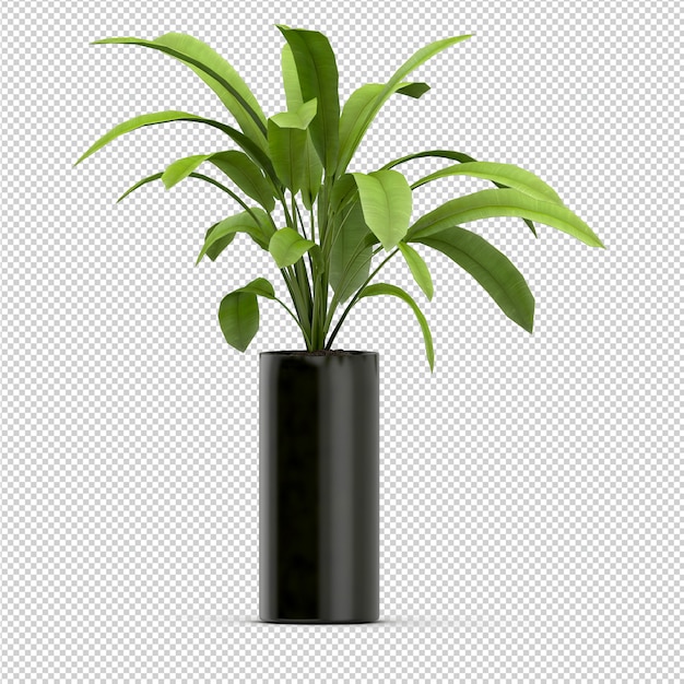  Isometric plant 3d rendering