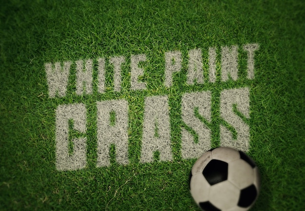 Download Logo or text mockup template - white paint on grass ...