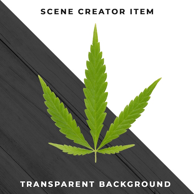 Download Marijuana leaf isolated with clipping path. | Premium PSD File