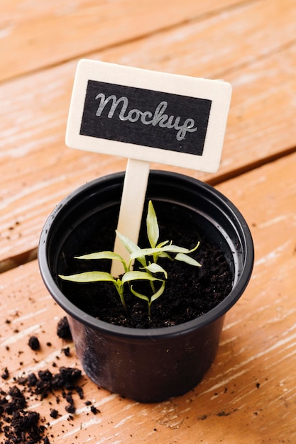 Download Mock Up And Pot Filled With Soil Free Psd