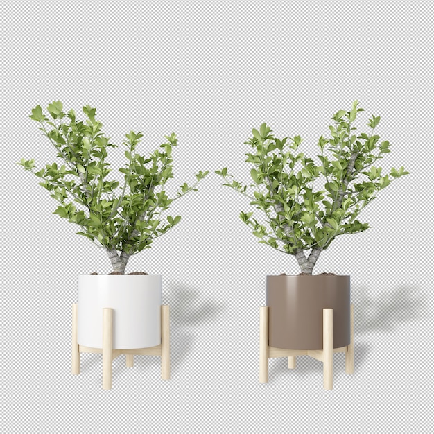 Premium PSD | Mockup of 3d rendered plants in pots