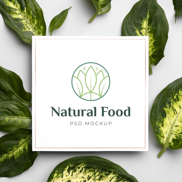 Download Mock-up di cibo naturale con foglie | PSD Gratis