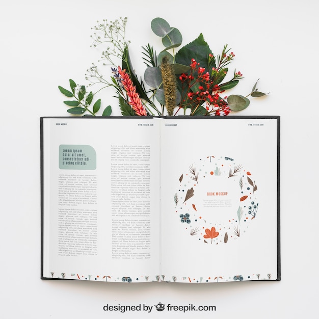 Download Open Book Vectors, Photos and PSD files | Free Download