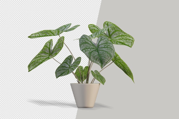 Premium PSD | Realistic plant in 3d rendering